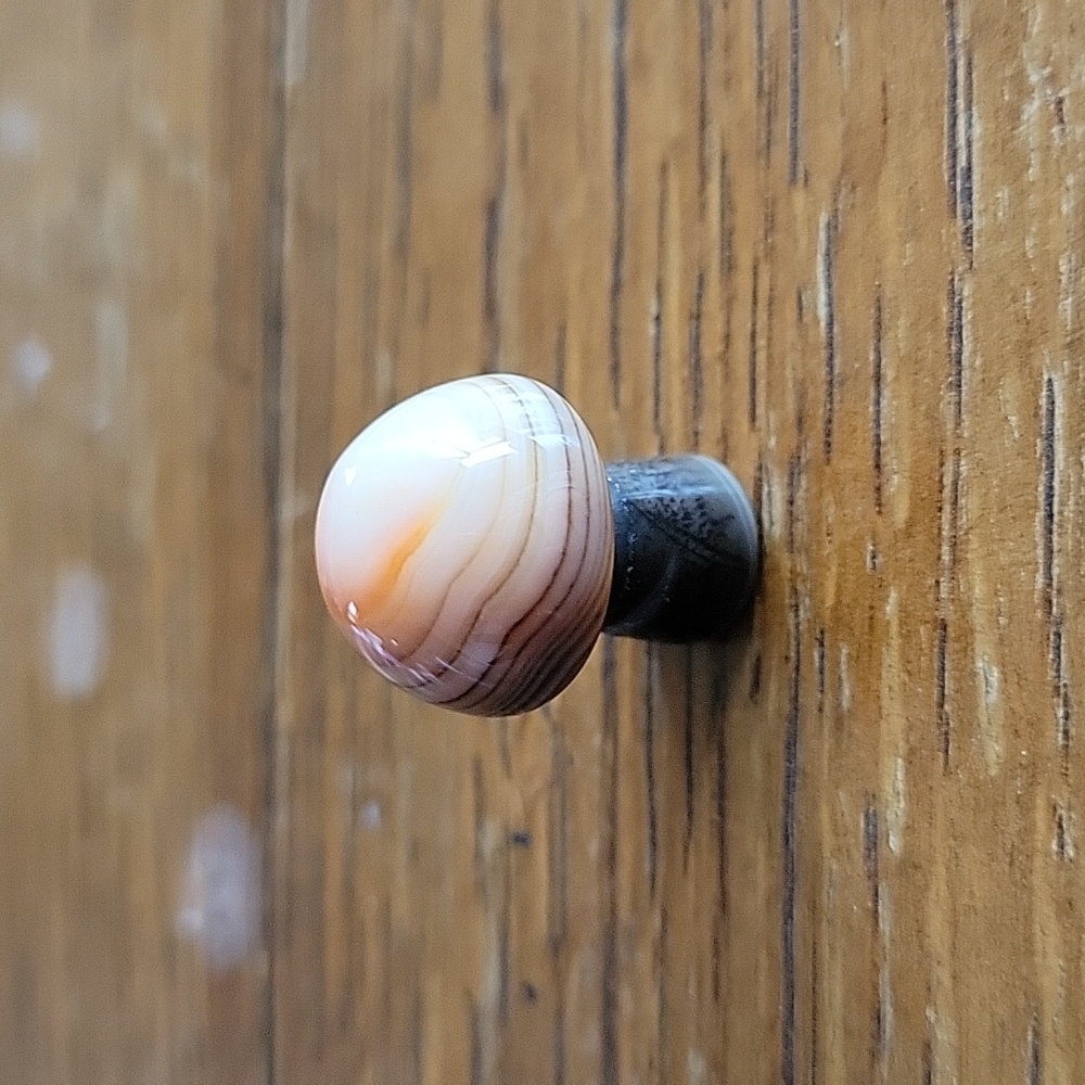 Carnelian mushroom